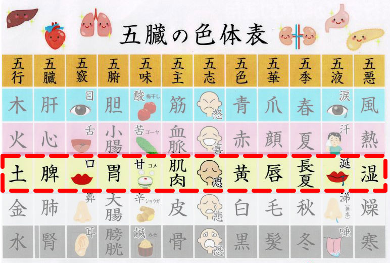 唇の荒れは漢方で～体の中からケア～ | 菜の花漢方堂